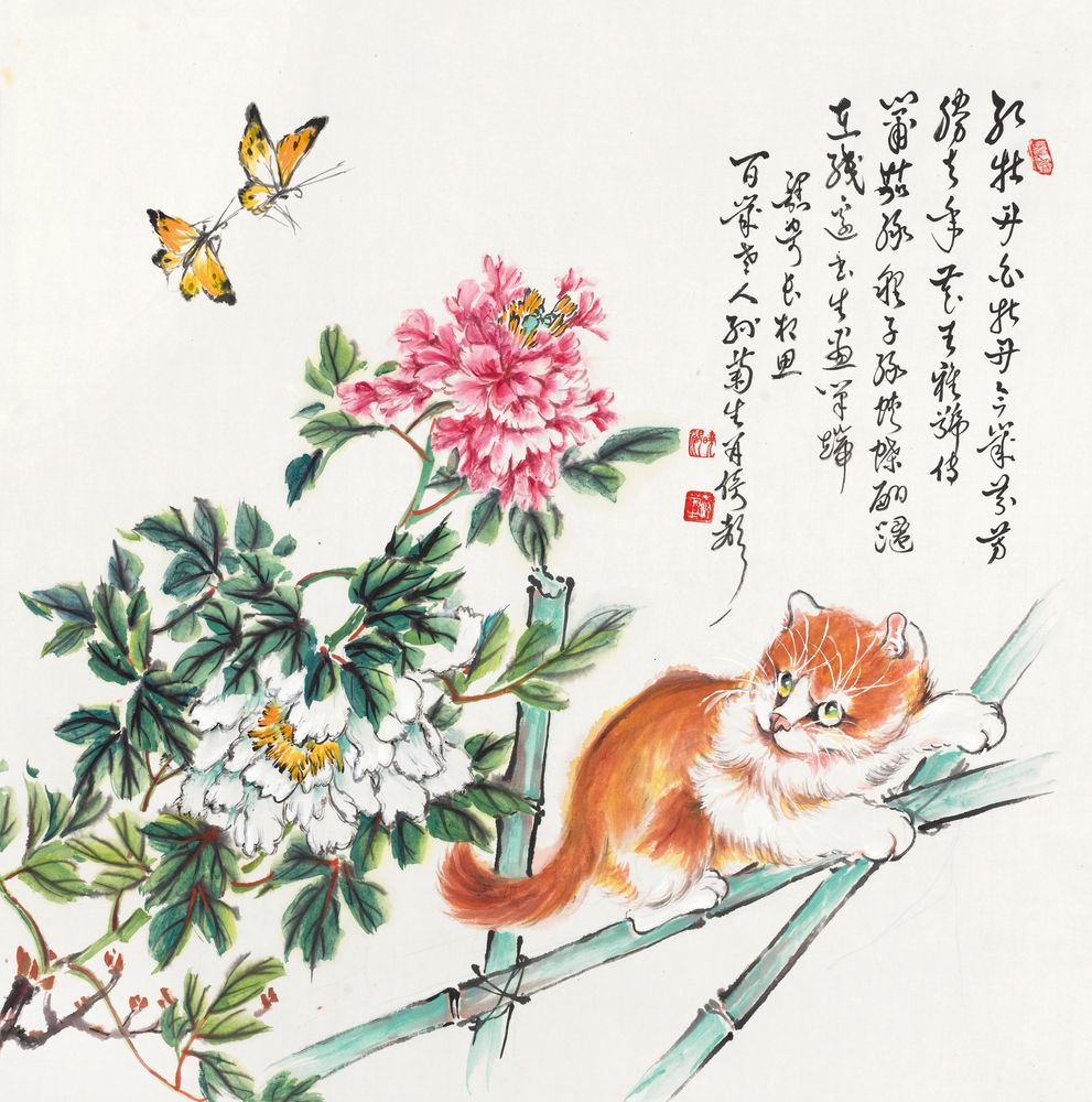 牡丹猫戏图
