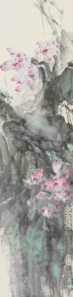 羞荷