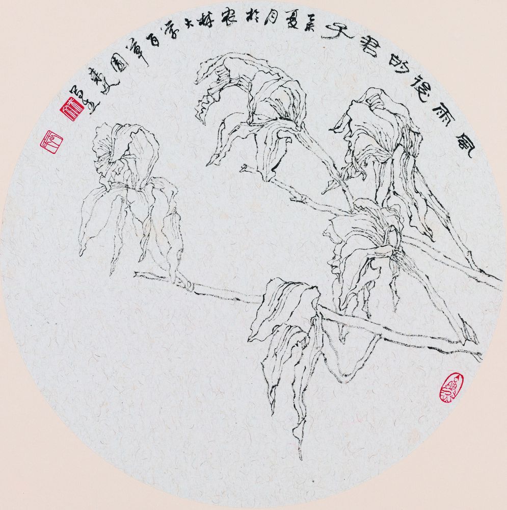 风雨后的君子