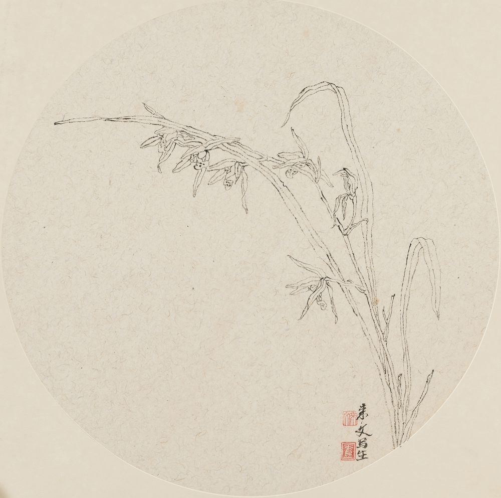 多姿