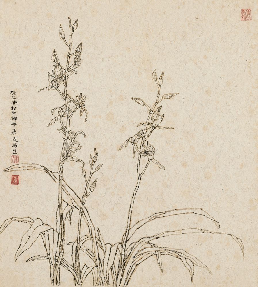 群芳
