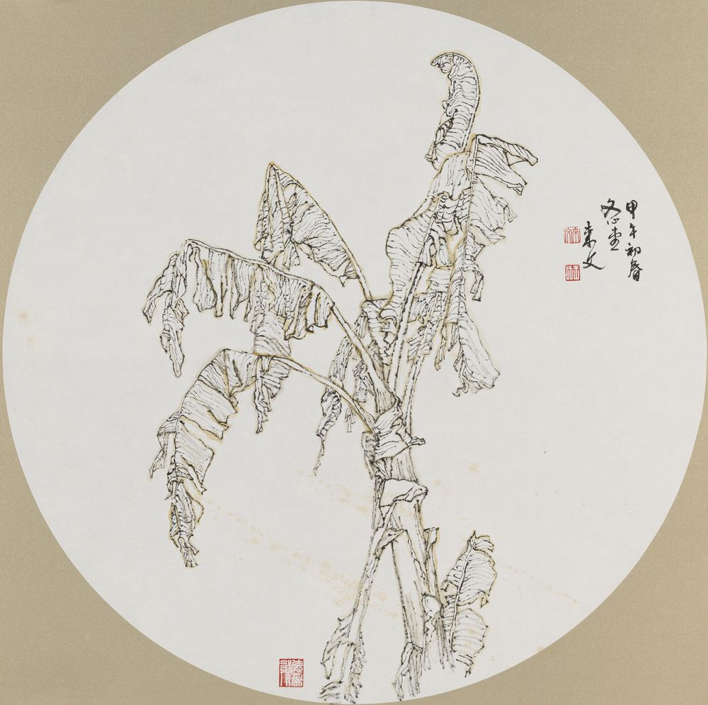 自展雄姿