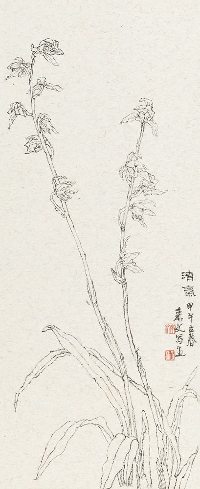 清汽