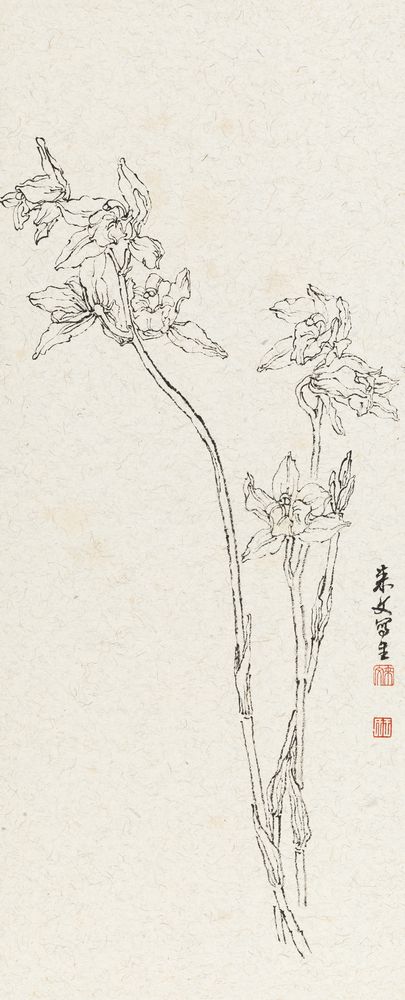 苏心