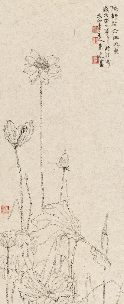 卷舒开合任天真