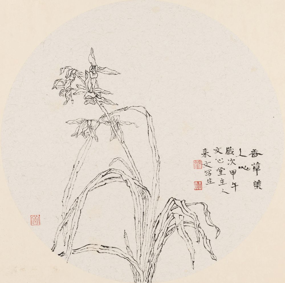香草美人心
