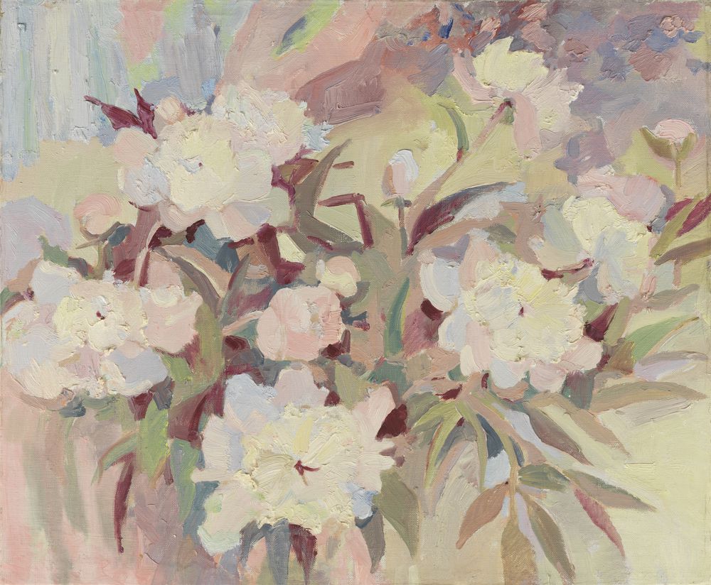 芍药花