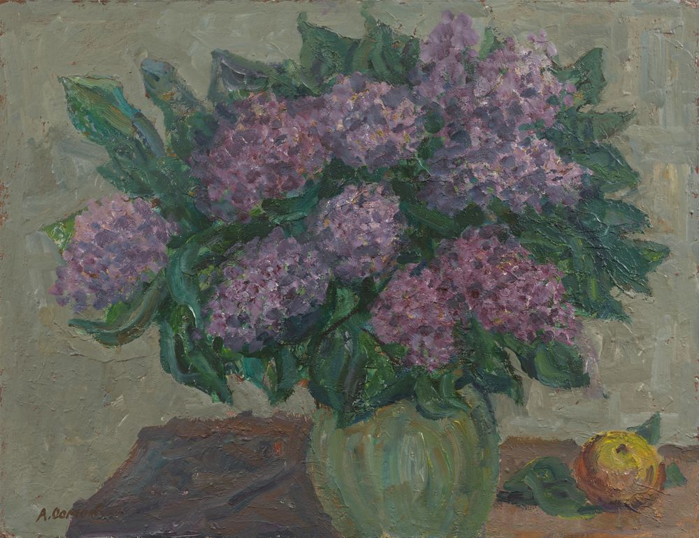 丁香花