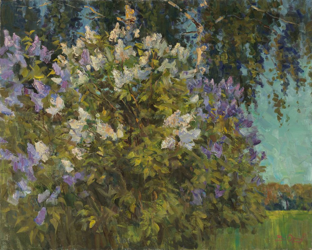 丁香花