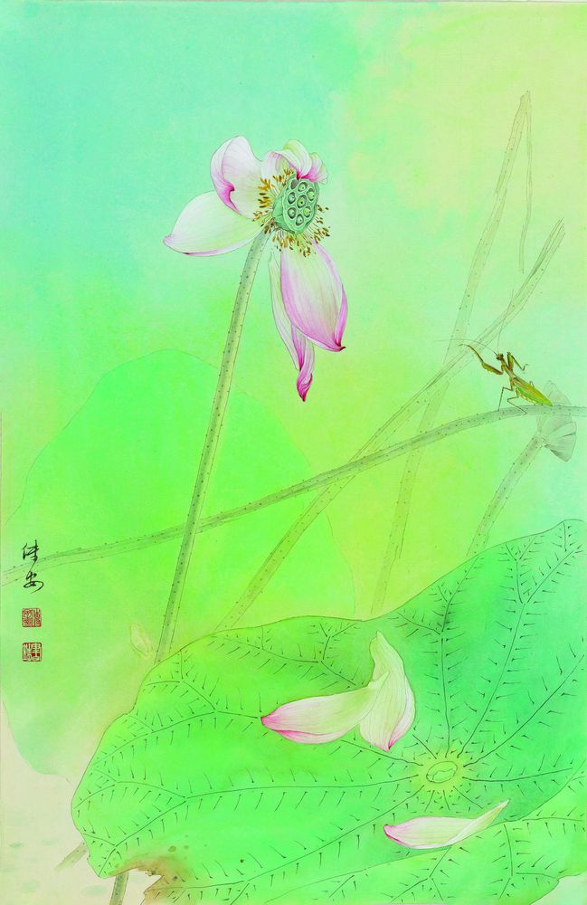 红荷
