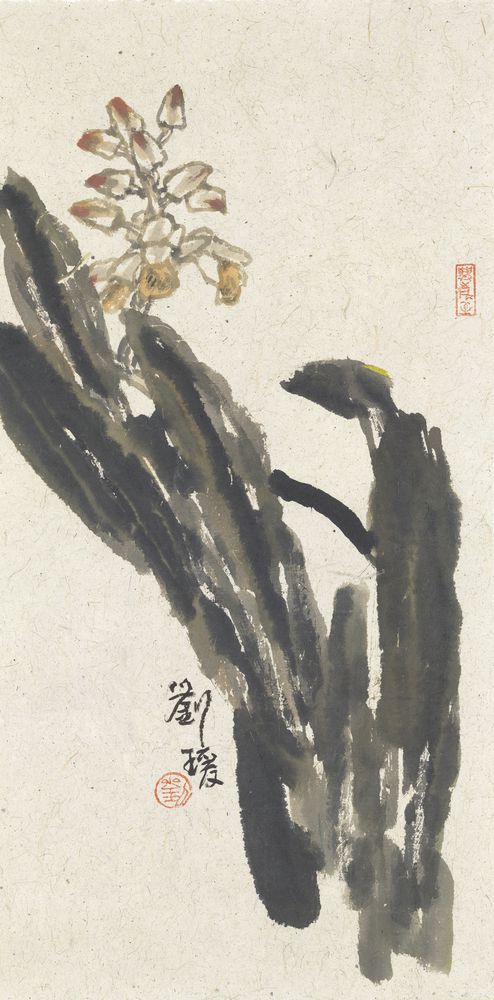 花卉小品