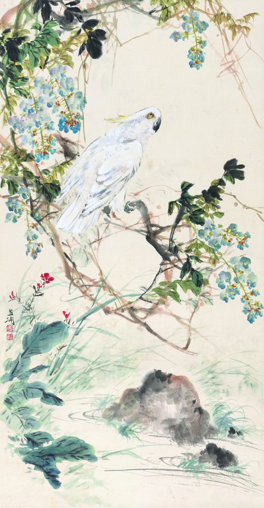 紫藤鹦鹉