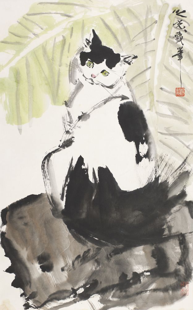 爱猫玲玲