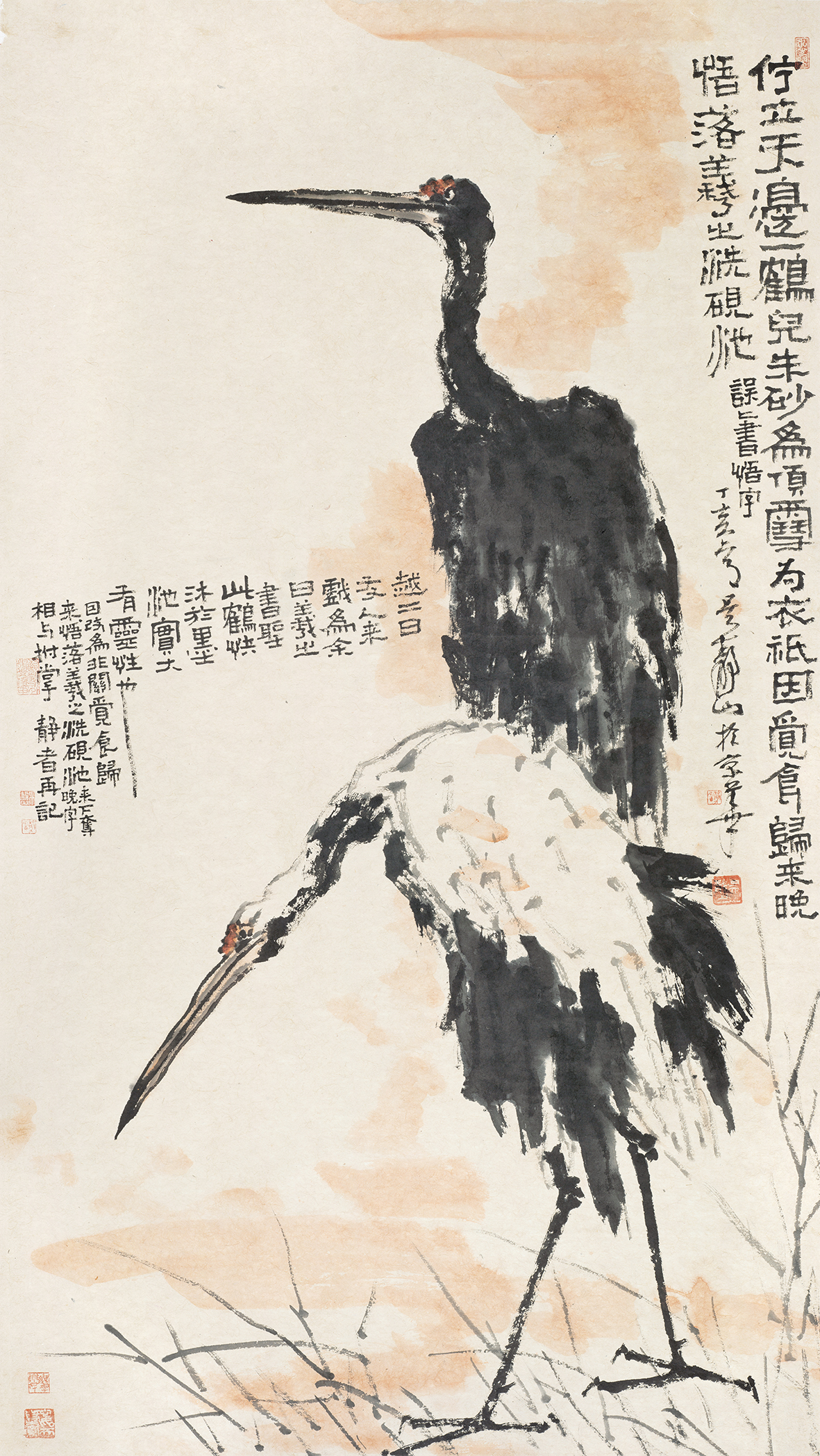 双鹤
