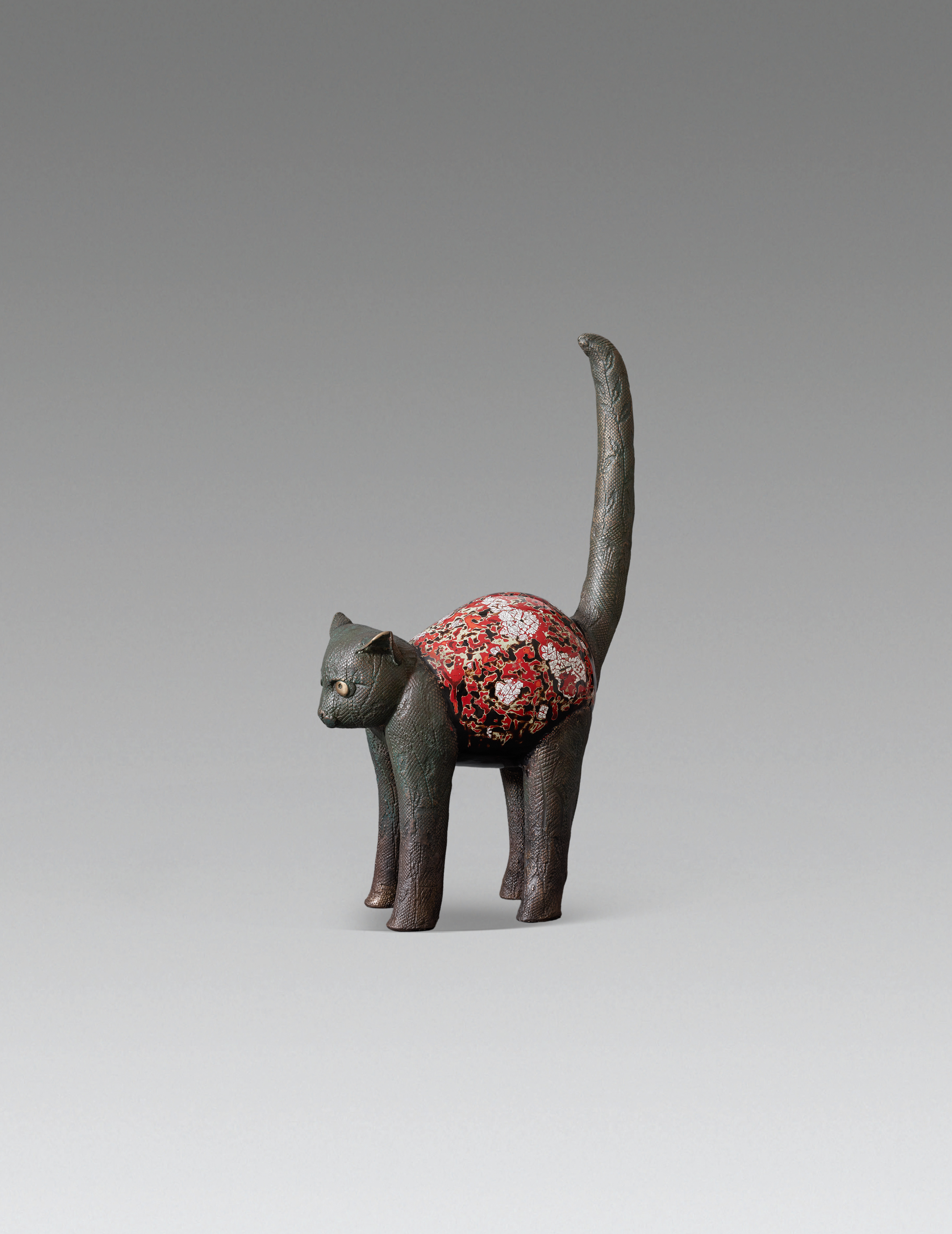 穿花衣的猫