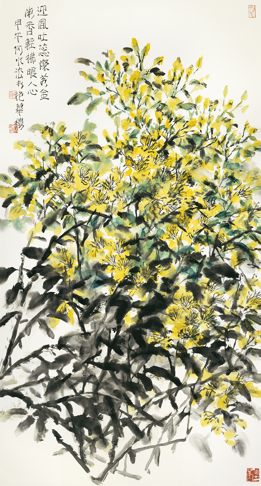 迎风吐蕊