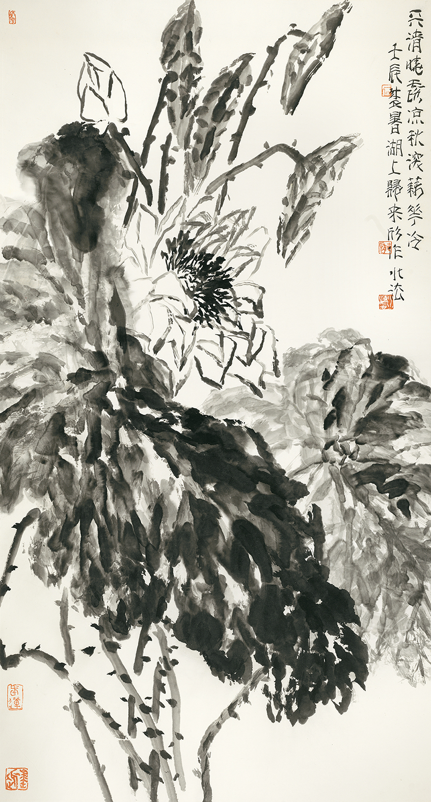 天清晓露凉