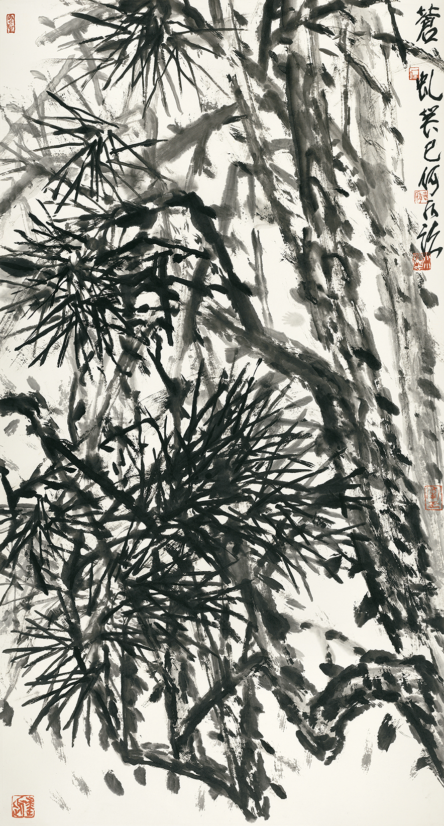 苍虬