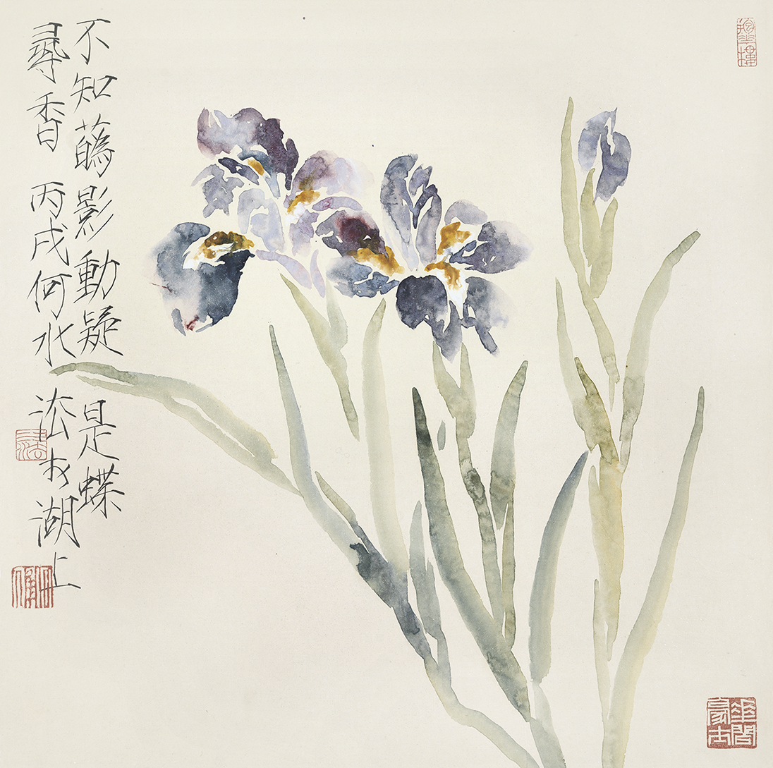 疑是蝶寻香