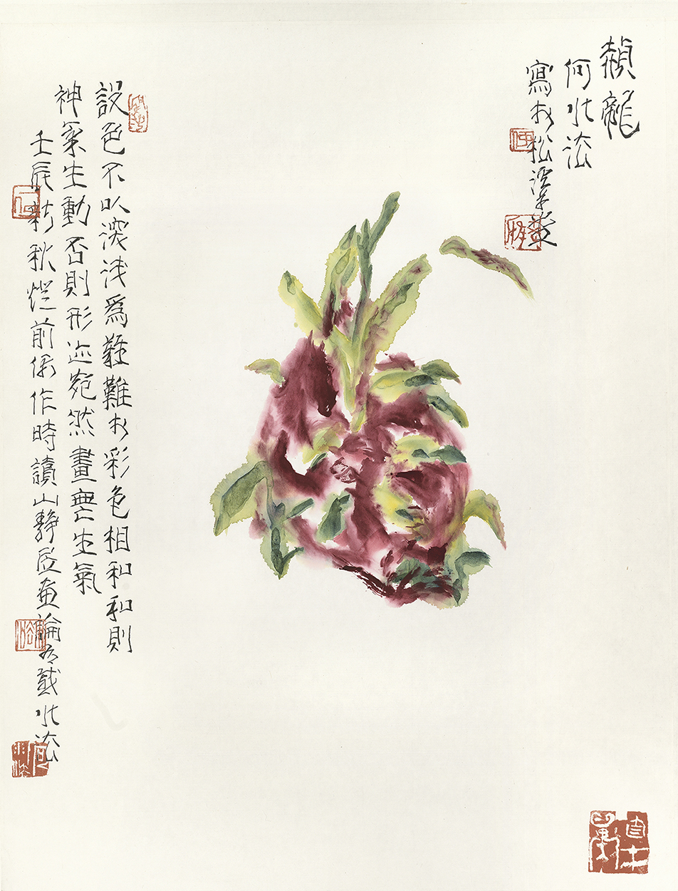 赪龙