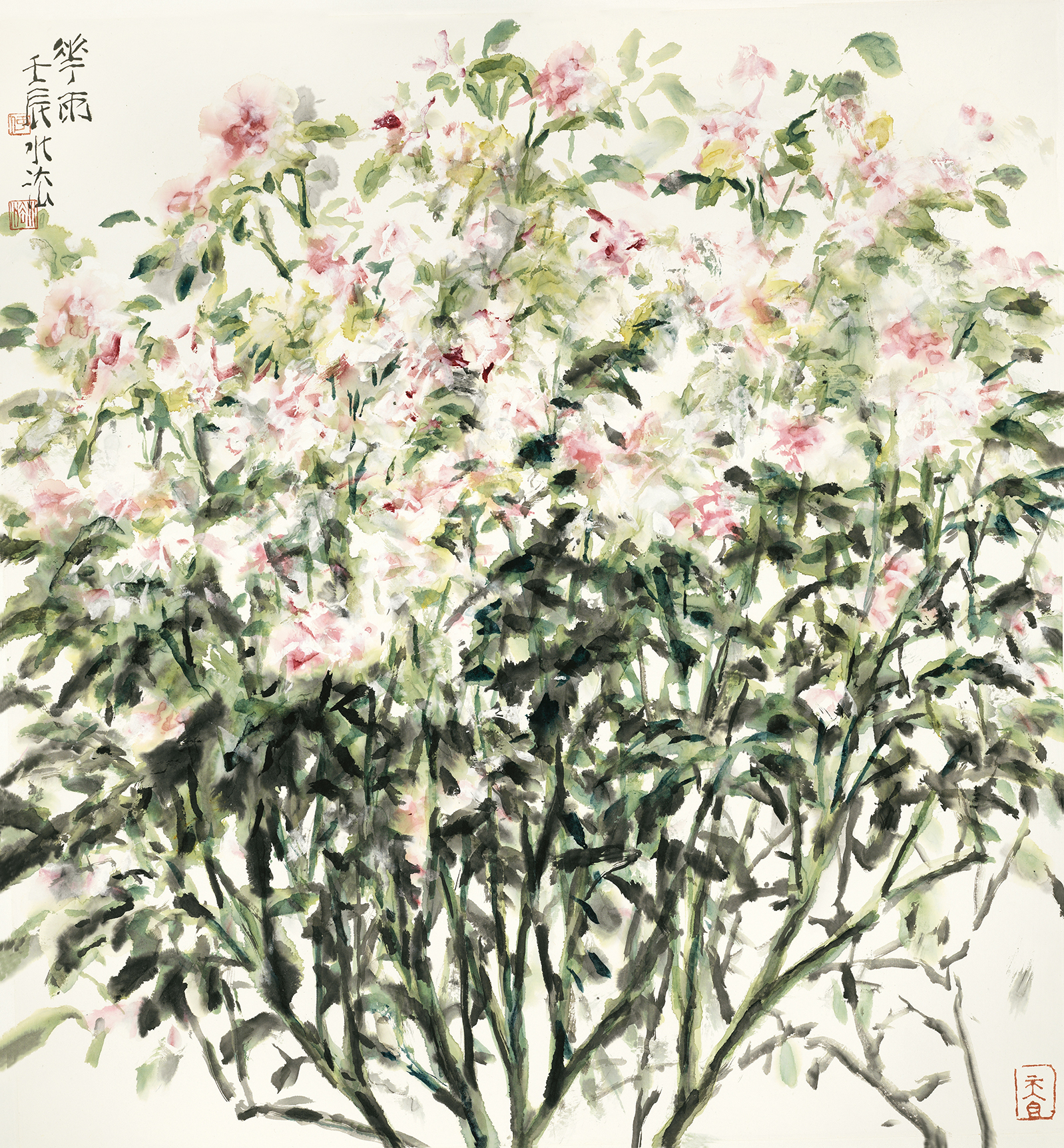 花雨