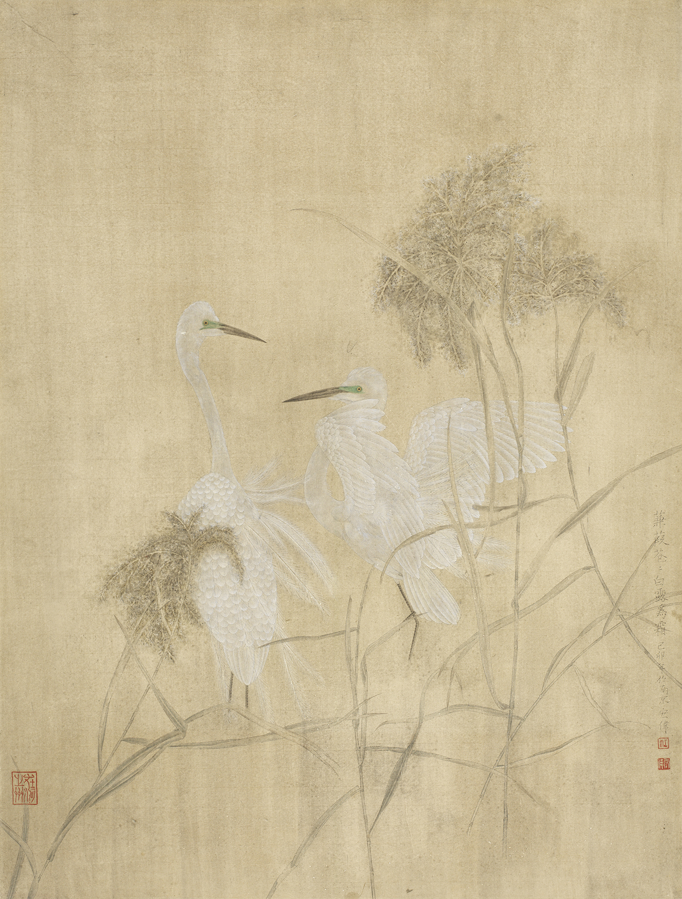 蒹葭苍苍白露为霜