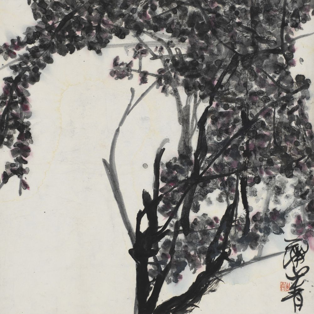 藤花紫蒙茸
