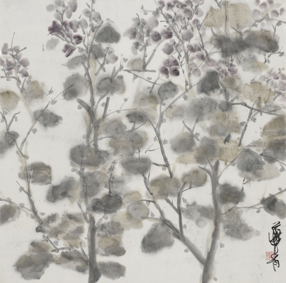 风露盈盈紫笑花