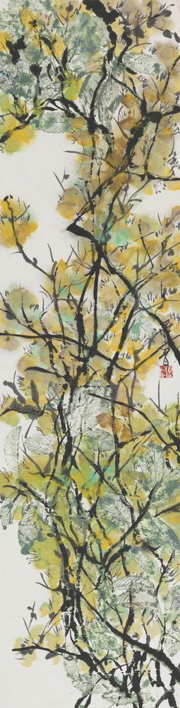晕绿抽芽新叶斗