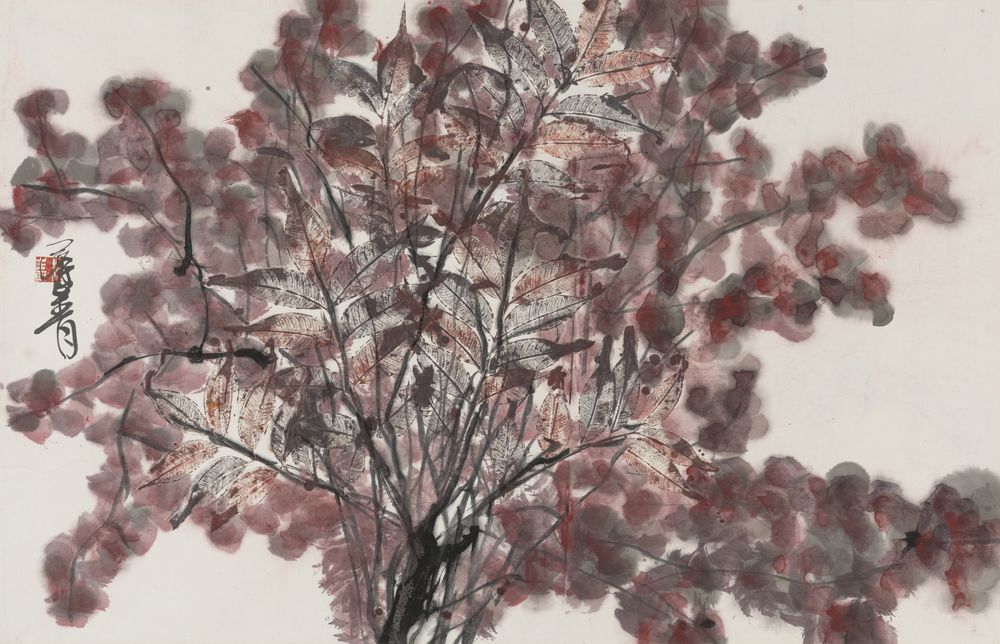 花繁宝树红