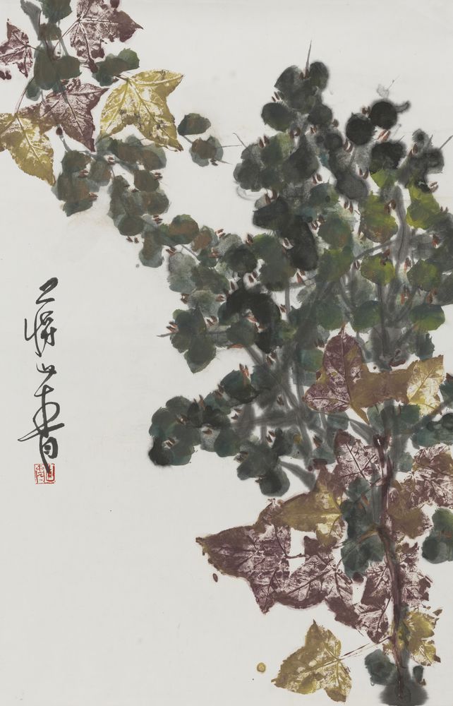 绿萼添妆