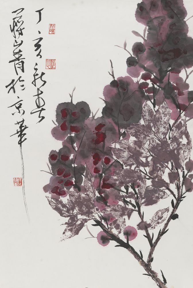 紫花纷若铺