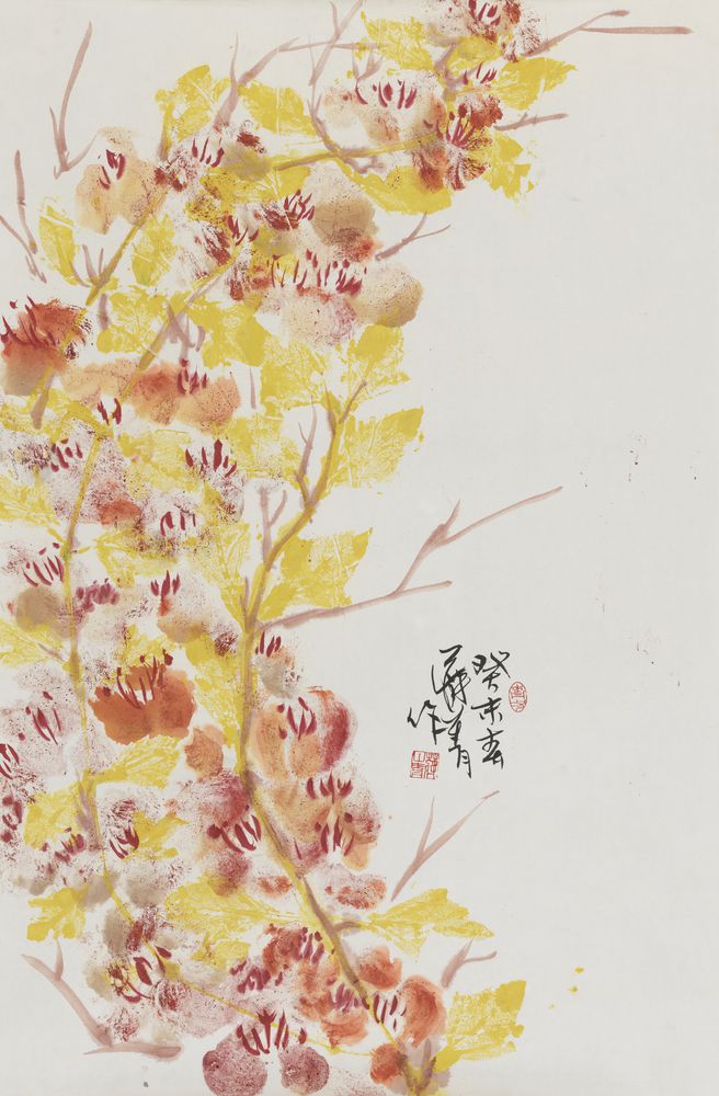 岁贡兰花美无度