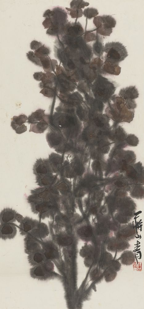 秋澄