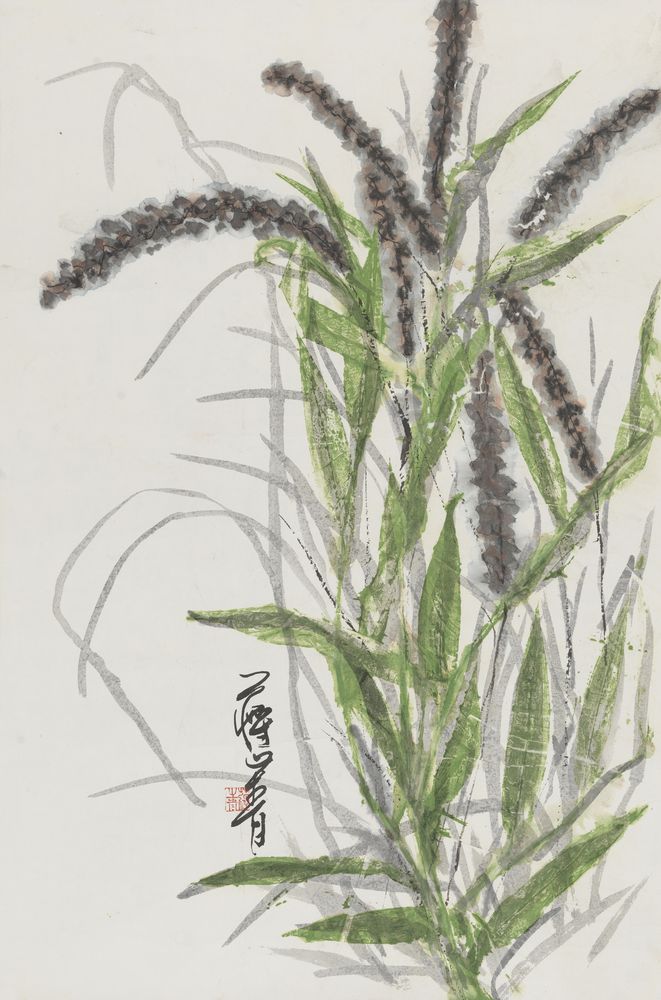 花紫叶青青