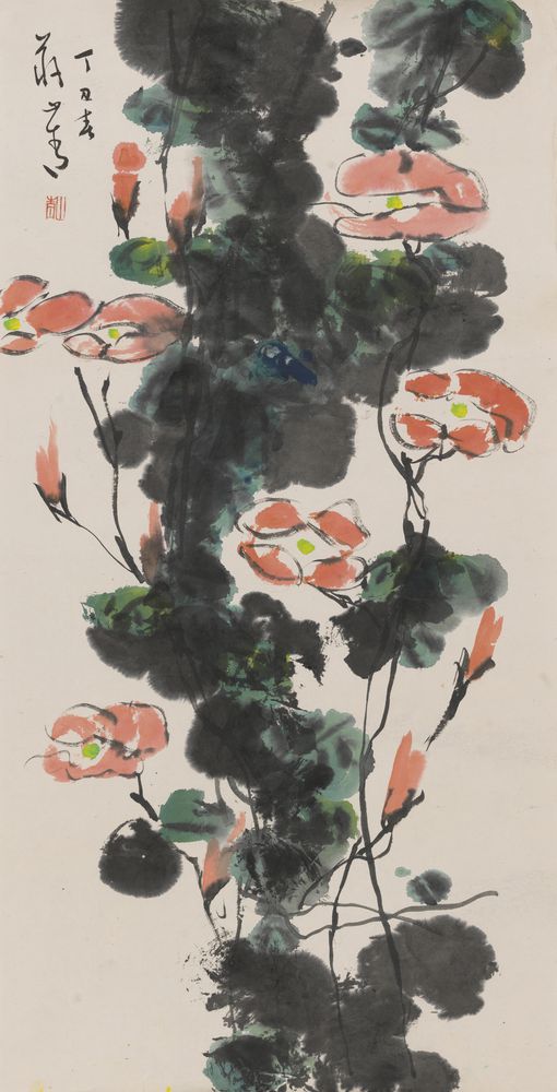 烨烨牵牛花