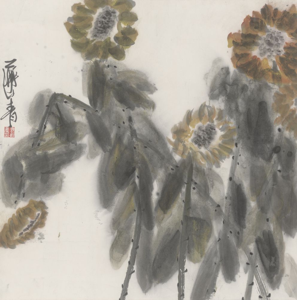 向阳春