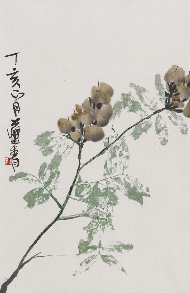 春云绿处