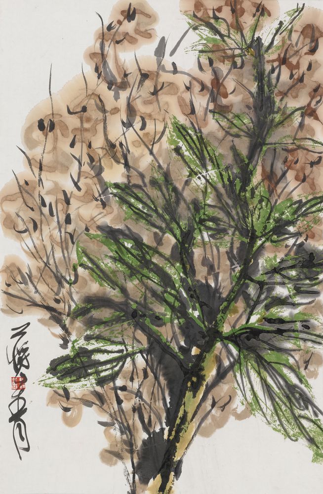 绿阳芳草