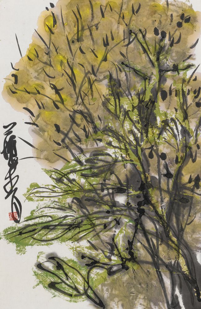 清和风里
