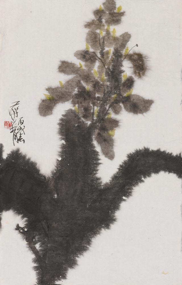 体清鉴物