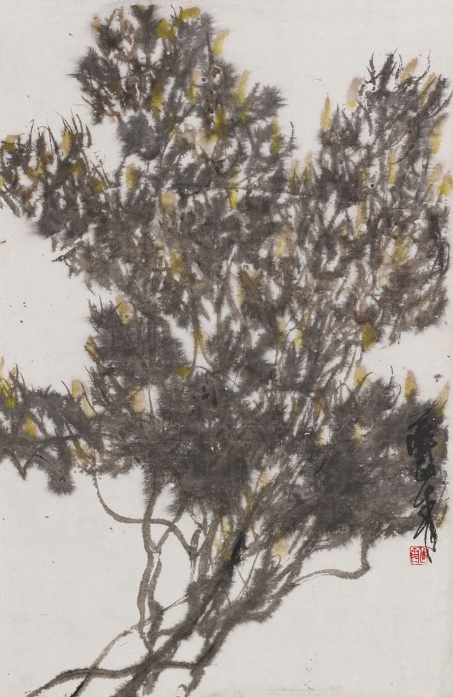 林下风清