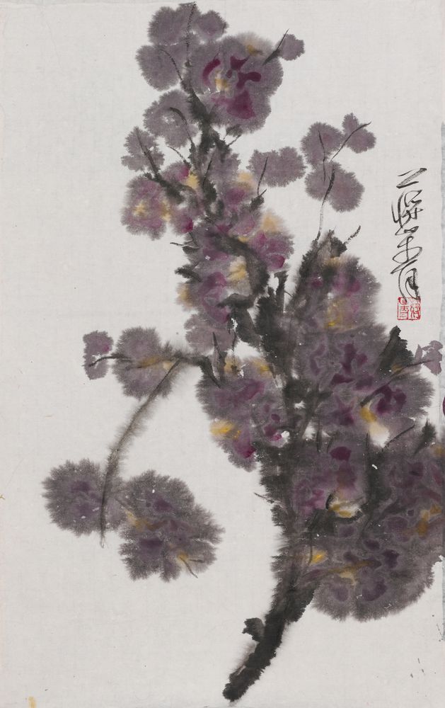 德睿宁安