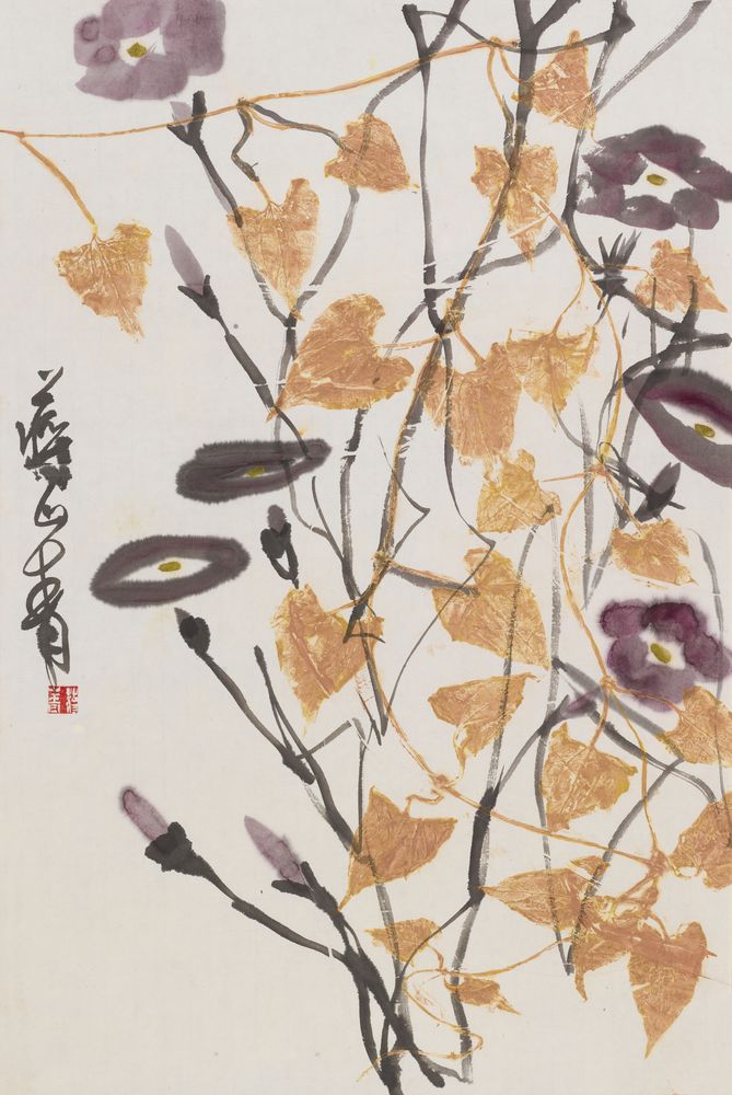 较量风景是谁好