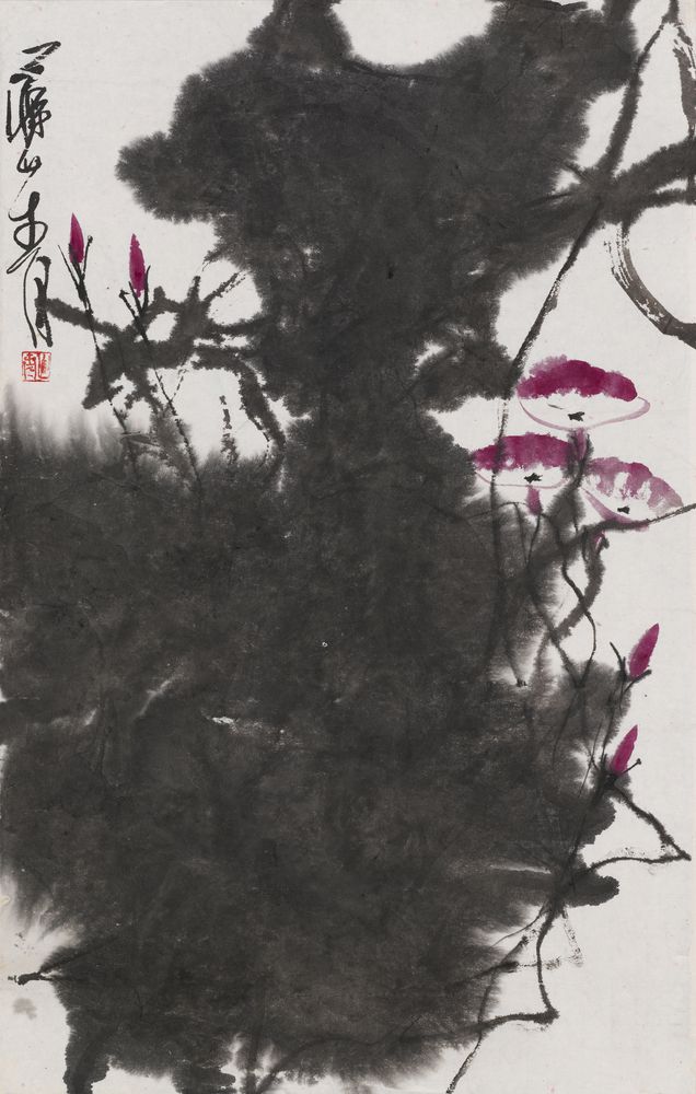 烨烨牵牛花
