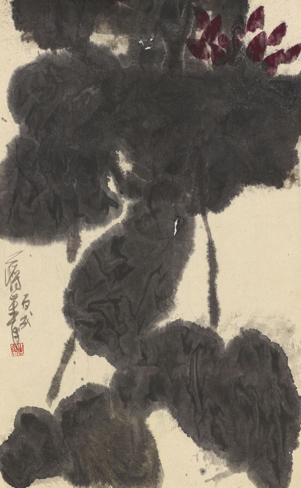 守得莲开结伴游