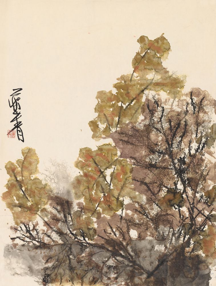 灼灼有辉光