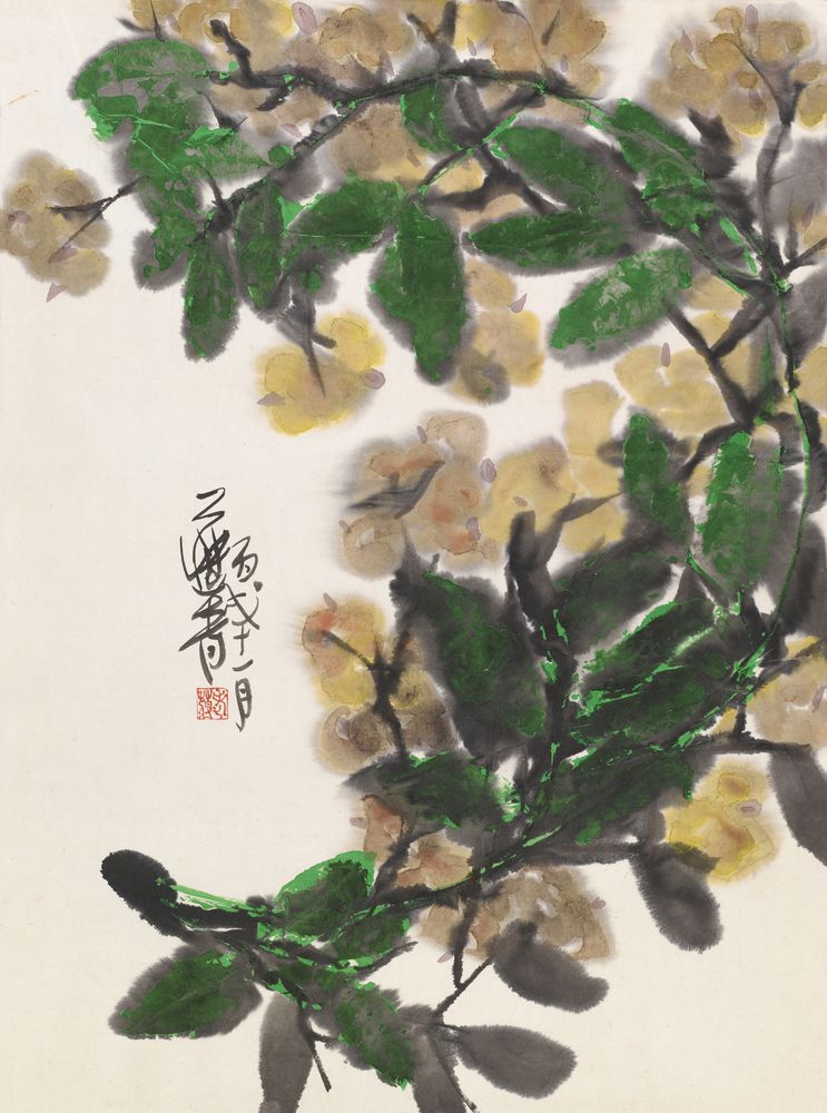 年华看风景