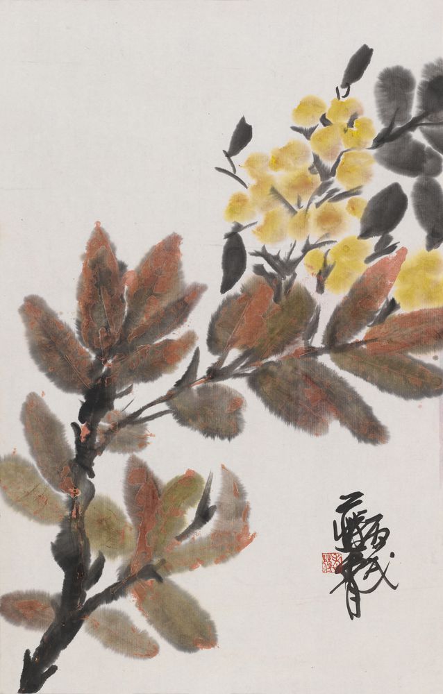 华年盛德