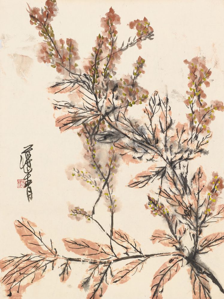 天颜有喜